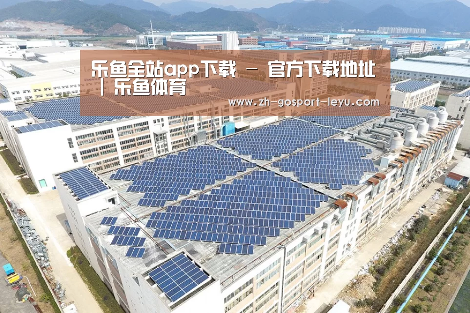 案例展示一