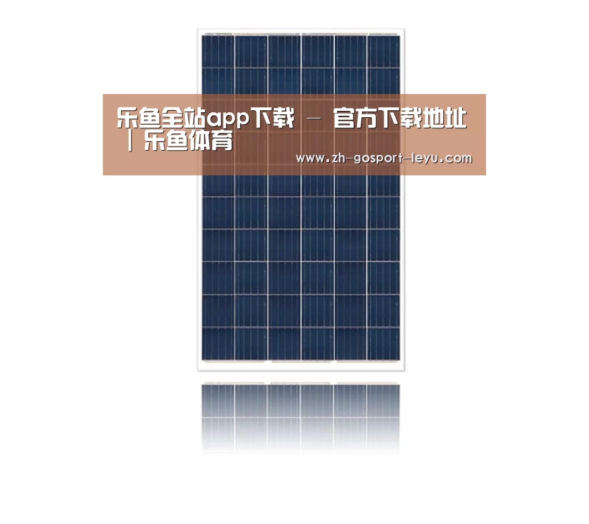 产品名称一