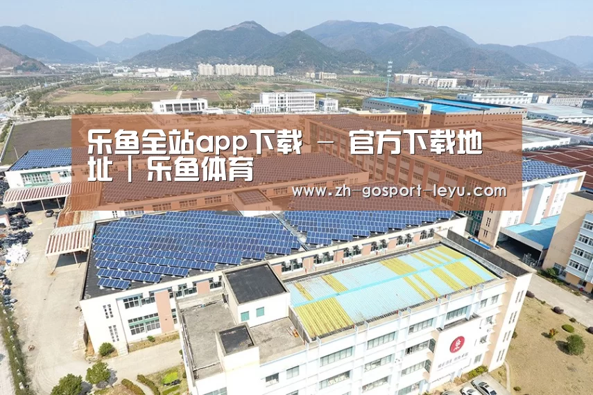 案例展示四