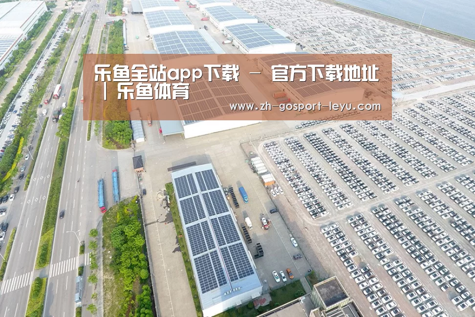 案例展示一