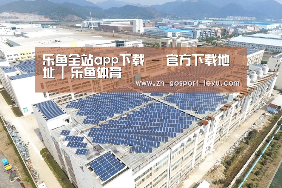案例展示四