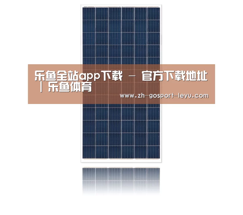 产品名称一