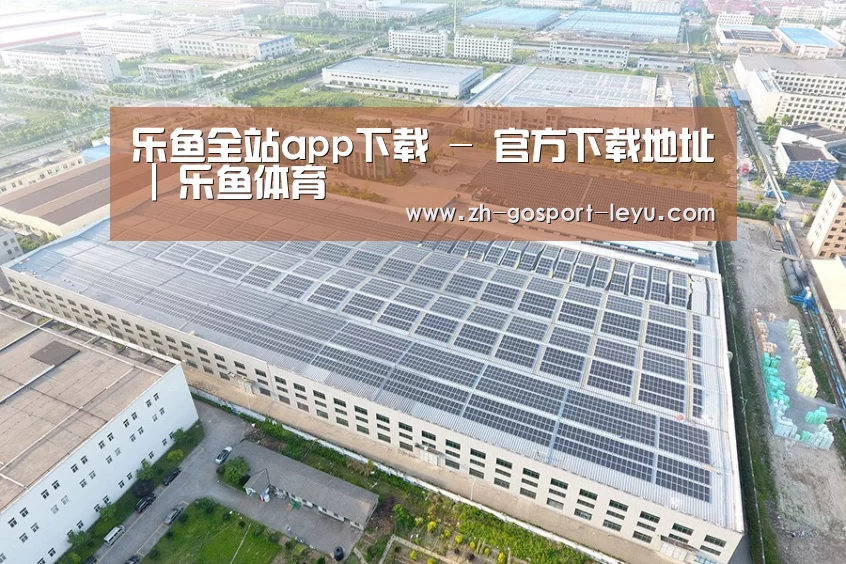 案例展示四