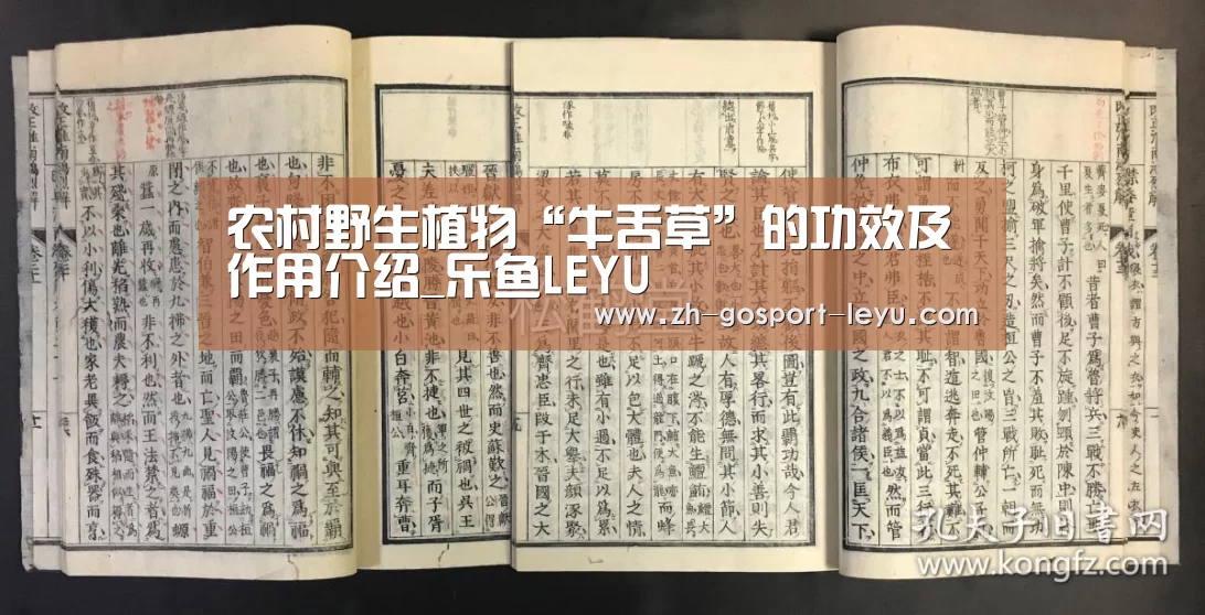 乐鱼中国体育