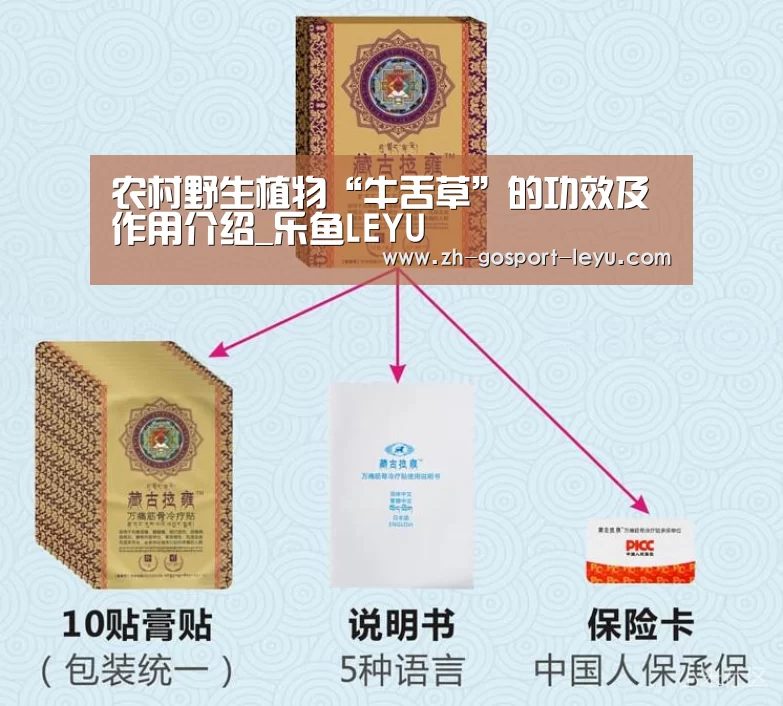 乐鱼网站