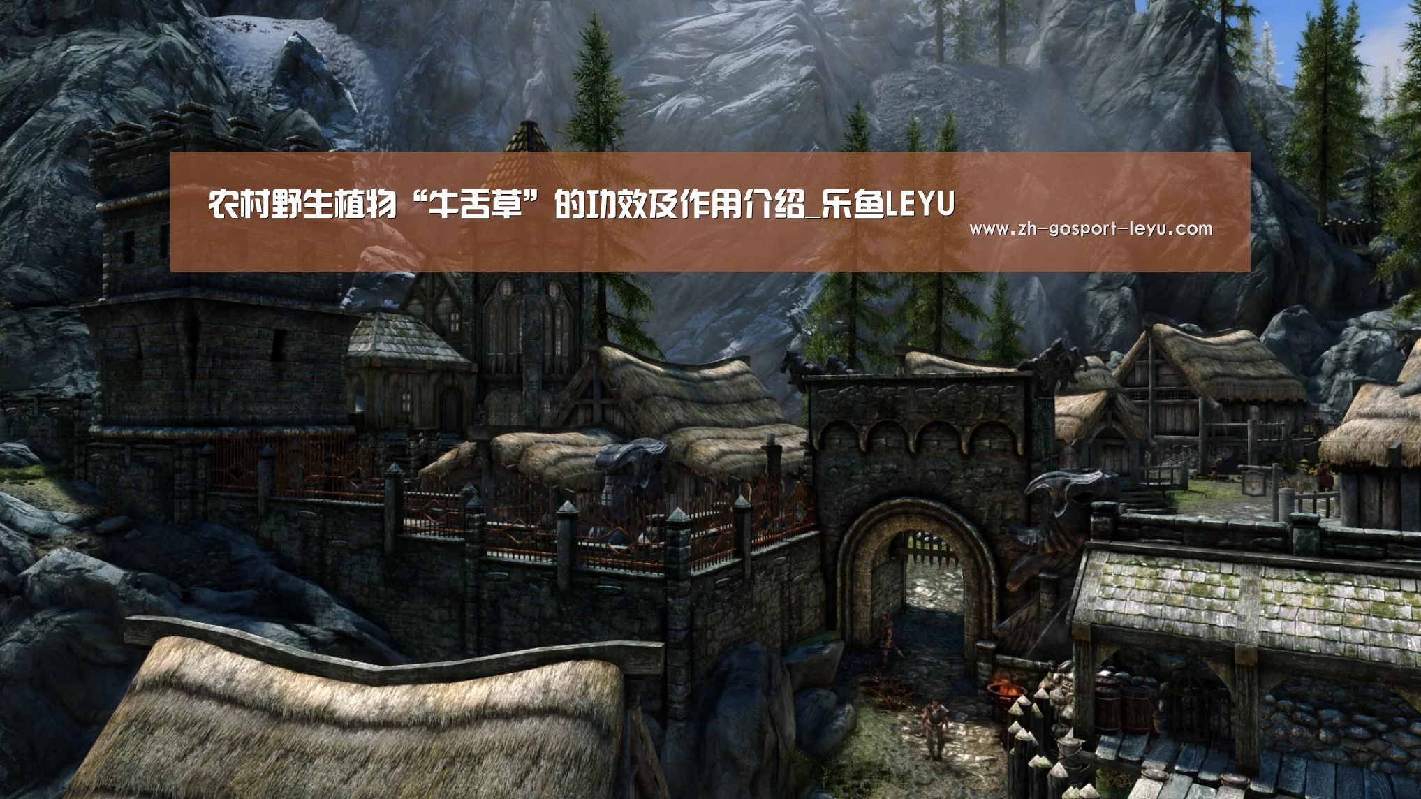 乐鱼LEYU