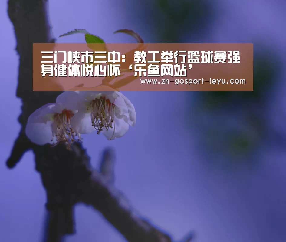 三门峡市三中:教工举行篮球赛强身健体悦心怀‘乐鱼网站’(图4) 乐鱼中国体育